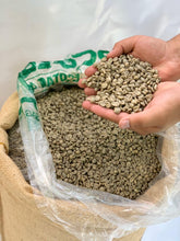 Load image into Gallery viewer, ECOTACT40