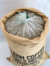 Load image into Gallery viewer, ECOTACT40